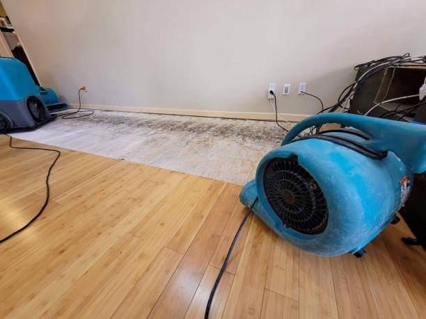 Professional Structural Drying technician working in Iron Station, NC